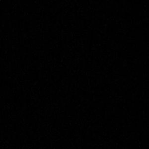 Meet your Posher, Nelson